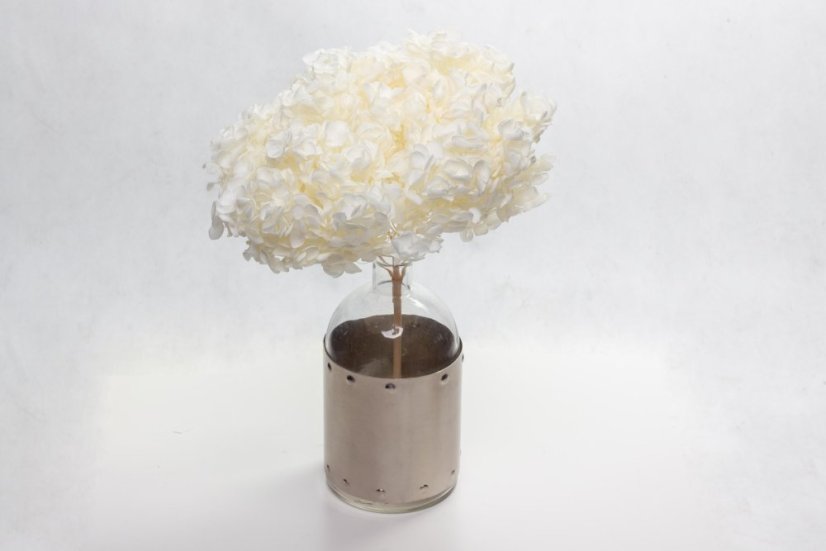 Stabilisierte Hortensie - Creme