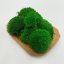 Kopečkový mech Mini - Jablkově zelená- Balení 0,15m2