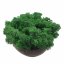 Stabiliziran mah - lišaji - gozdno zelena - Teža: 5kg