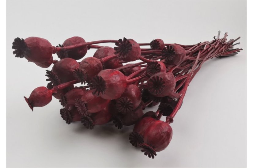 Capsule de mac uscate - Roșu