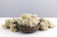 Čištěný stabilizovaný mech - lišejník - Natural - Finský