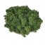 Stabiliziran mah - lišaji - temno zelen - Teža: 5kg