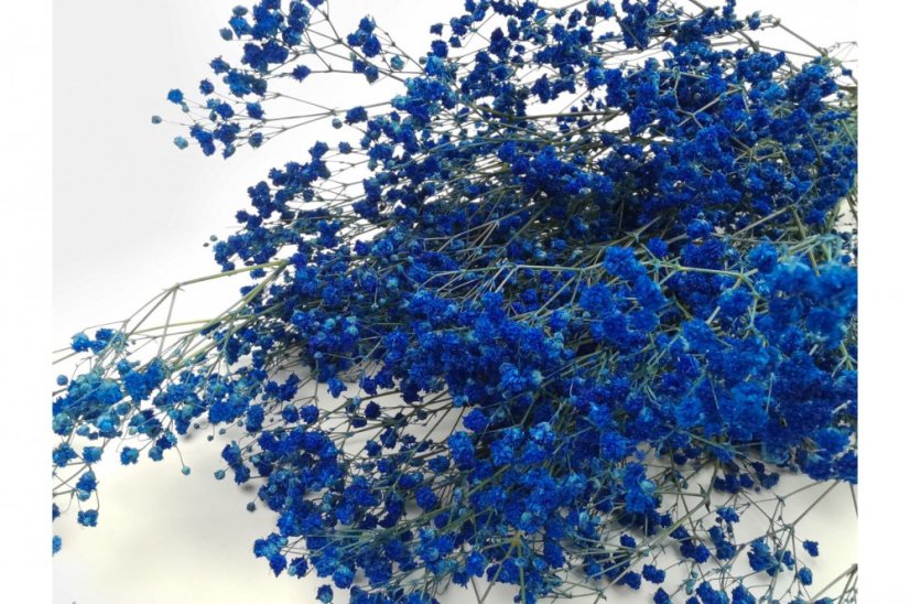 Stabilizované kvety Gypsophila - Královská modrá