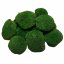 Kugelmoos - „Schildkröte“ - Naturgrün - Bereich: 0,1m² (deckt eine Fläche von 30x35cm ab)