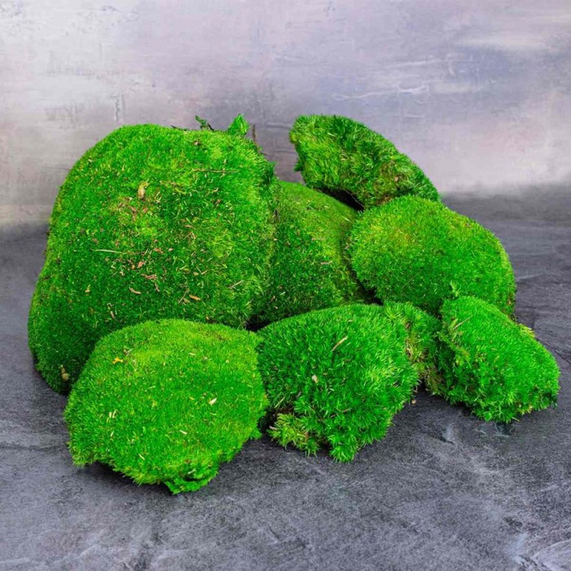 Gömbmoha - Almazöld