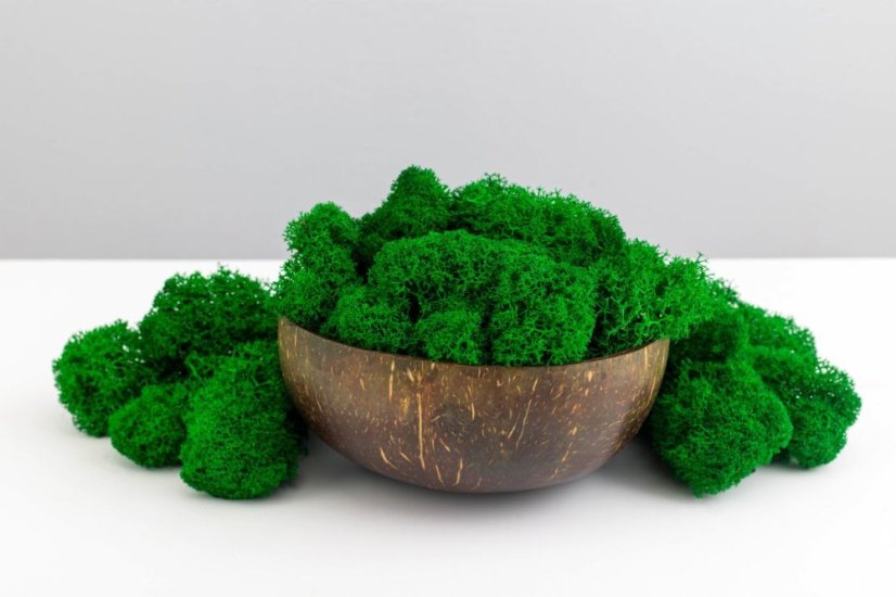 Čiščen stabiliziran mah - lišaj - smaragdno zelen - finski - Teža: 100g