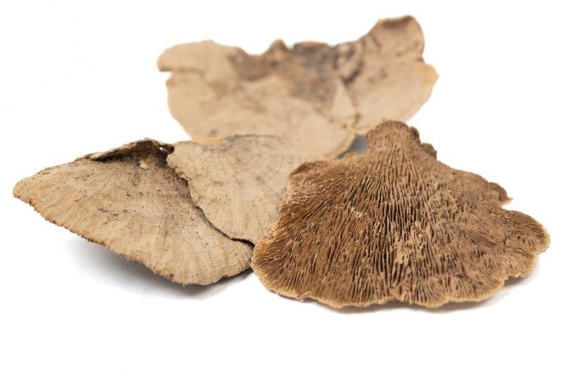 Szárított porcini gomba - Barna - Gomba típusa: Kiszerelés - 250g