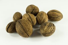 Ořech Mintolla - sušený