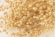 Getrockneter Flachs - Golden