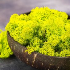Stabiliziran mah - lišaji - limonasto zelena
