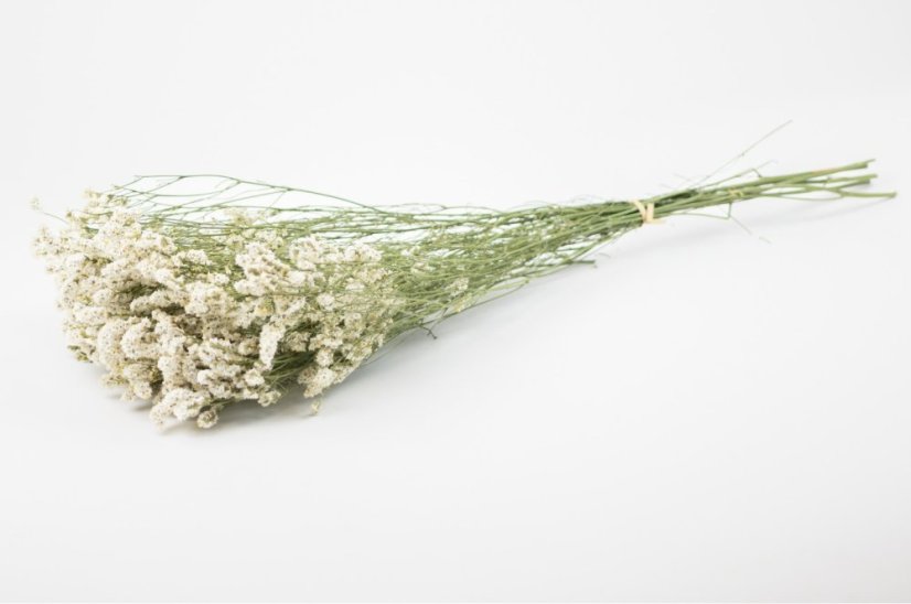 Stabilizált Limonium virág - Fehér