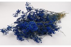 Stabilizované kvety Gypsophila - Královská modrá