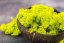Mousse stabilisée et lichen - Vert citron - Poids: 1kg