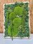 DIY sada na machový obraz - 30x40cm - Farba rámu: Smrek, Farba kopčekového machu: Svetlo zelená
