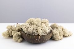 Muschio stabilizzato purificato - lichene -  Naturale - Finlandese