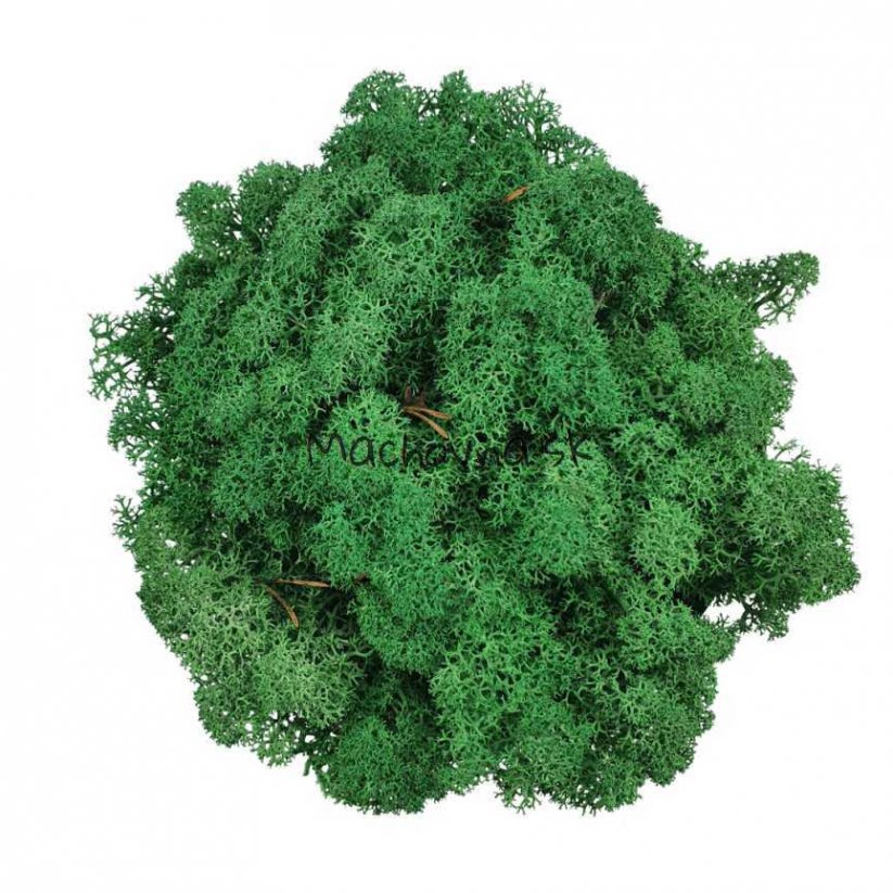 Stabiliziran mah - lišaji - gozdno zelena - Teža: 1kg
