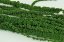 Stabilisierter Amaranth - Mittelgrün - Größe: Beutel (20g)