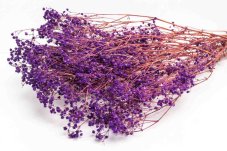 Stabilizované kvety Gypsophila - Fialová