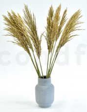 Stabilizirana trava pampas