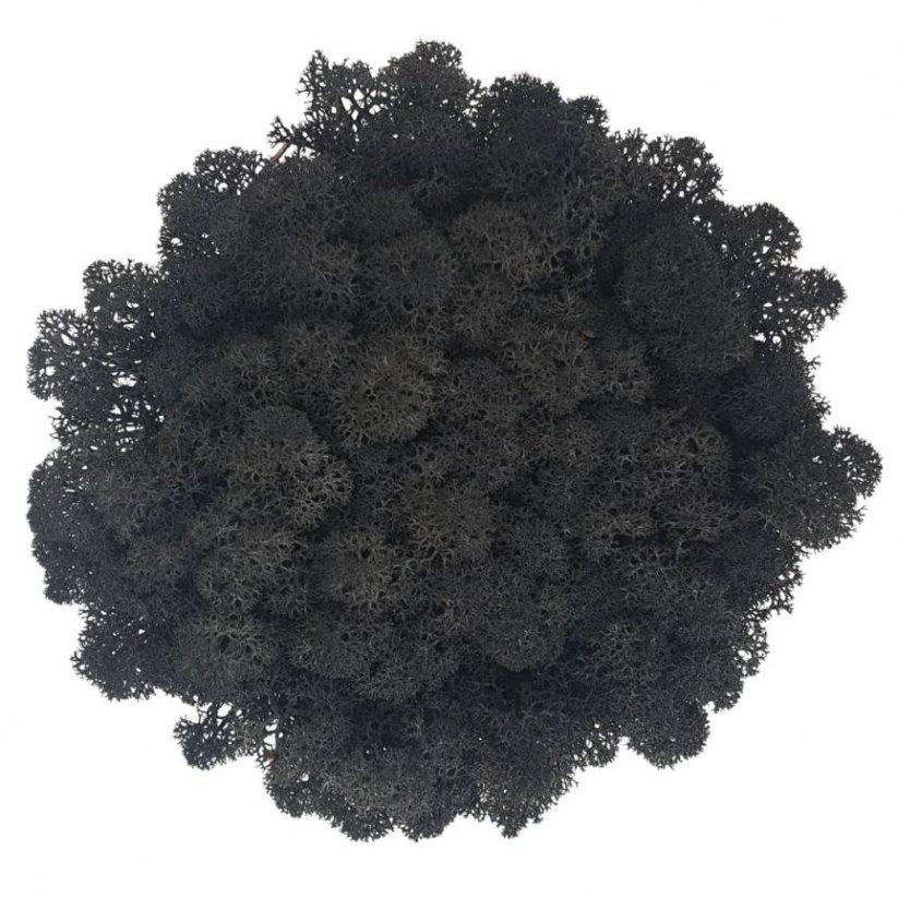 Muschio stabilizzato - lichene - Nero - Peso: 100g