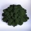 Očiščen stabiliziran mah - lišaji - gozdno zelena - finski - Teža: 5kg