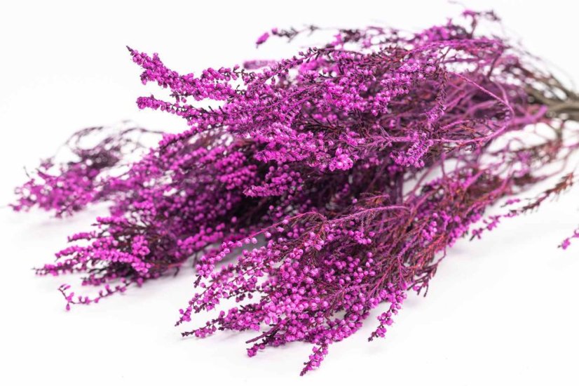 Stabilizovaný vres - Magenta