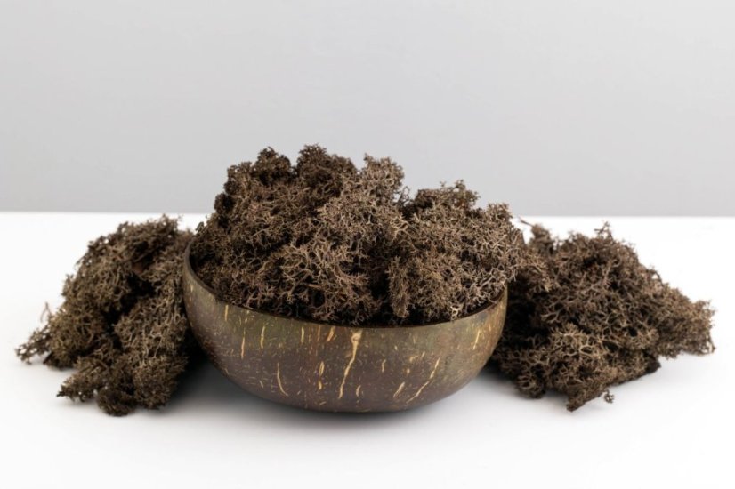 Muschio stabilizzato - lichene - Marrone - Peso: 1kg