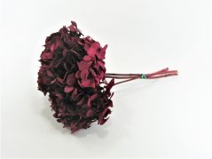 Stabilizovaná hortenze - Tmavá růžová