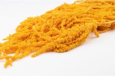 Stabilizirani Amarant - Barve marelice