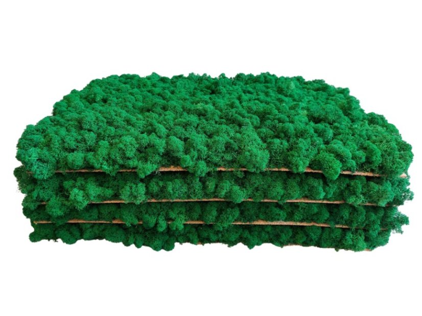 Pannello di lichene - 60x40 cm - Colore del pannello: Verde mela