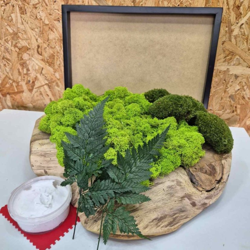 DIY sada na machový obraz - 30x40cm - Farba rámu: Smrek, Farba kopčekového machu: Svetlo zelená
