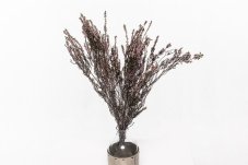 Stabilisiertes Heidekraut - Natural