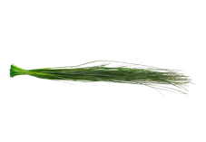 Stabilizirana "medvedja" trava