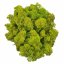 Stabiliziran mah - lišaji - limonasto zelena - Teža: 5kg