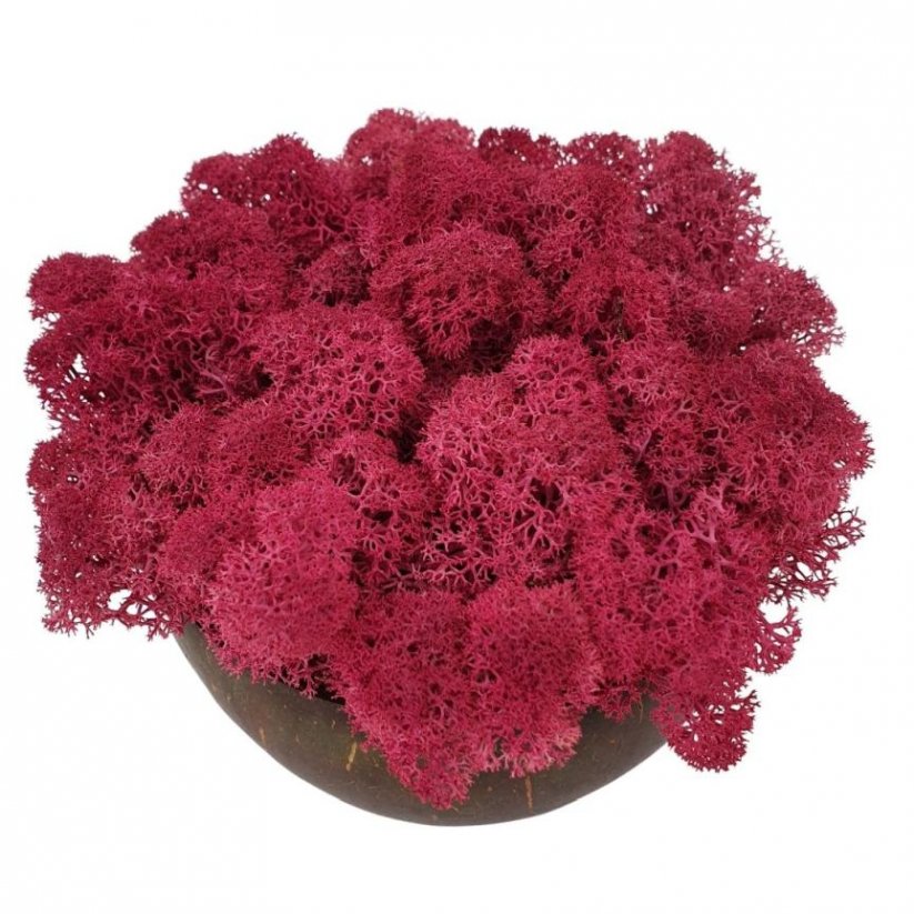 Stabiliziran mah - lišaji - roza - Teža: 500g