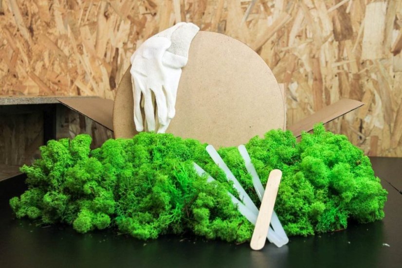 DIY kit cerchio di muschio 30 cm - lichene - Colore del lichene: Verde chiaro