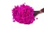 Sušené kvety Glixia- Magenta