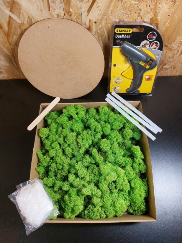 DIY kit cerchio di muschio 30 cm - lichene - Colore del lichene: Verde chiaro