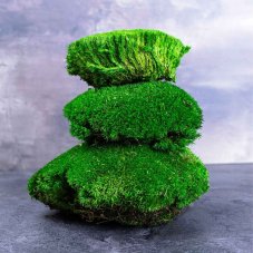Gömbmoha - Almazöld