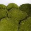 Kroglični mah - limonasto zelena - Površina: 1 kos (običajna oblika 10-12 cm)