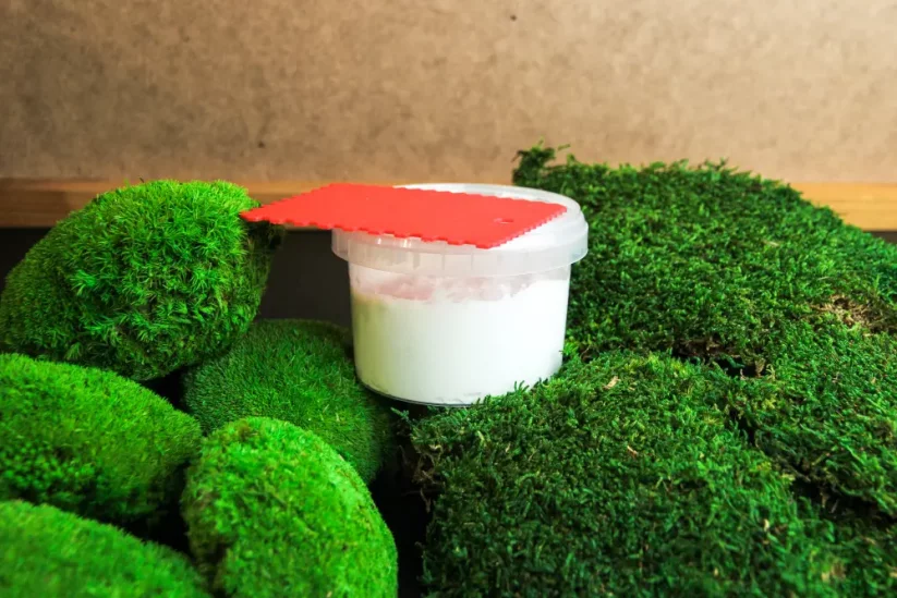 Kit regalo per la creazione del quadro di muschio - muschio piatto + sferico - Colore della cornice: Quercia