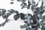 Stabilizált Eucalyptus Populus - Zöld - nagykereskedelem - Darabszám: 5 doboz