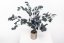 Stabilizált Eucalyptus Populus - Zöld - nagykereskedelem - Darabszám: 5 doboz