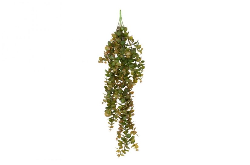 Künstlicher Hänge-Eukalyptus
