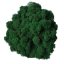 Pannello di lichene - 60x40 cm - Colore del pannello: Verde pino