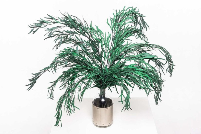 Stabilisierte Eukalyptus Nicoly