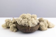 Čištěný stabilizovaný mech - lišejník - Natural - Finský
