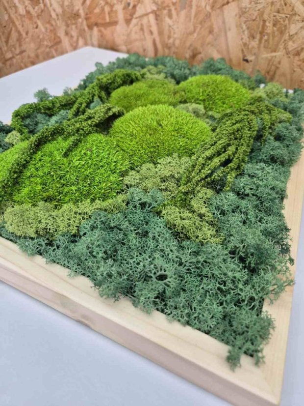 DIY-Set für Moosbild – 30×40 cm - Rahmenfarbe: Fichte, Farbe des Kugelmooses: Naturgrün