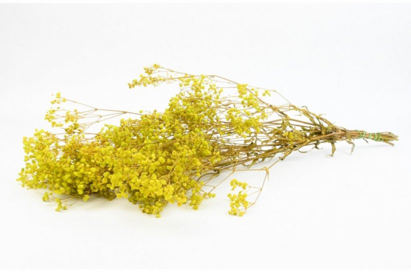 Stabilizované kvety Gypsophila - Žltá