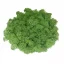 Muschio stabilizzato - lichene - Verde prato - Peso: 100g
